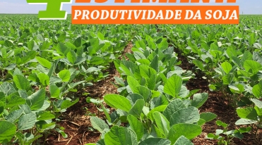 4_passos_para_estimar_a_produtividade_da_soja_copiar