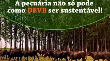 deve_ser_sustentavel