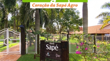 diversificacao_e_integracao_o_coracao_da_sape_agro