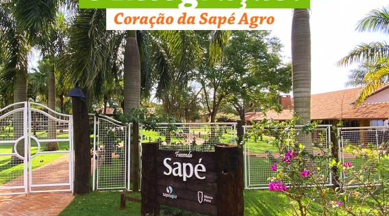 diversificacao_e_integracao_o_coracao_da_sape_agro
