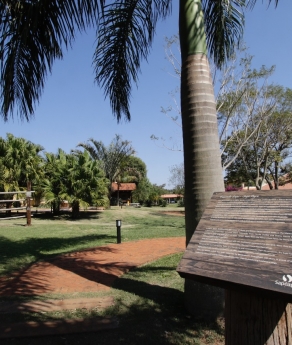 Modelo Negócio